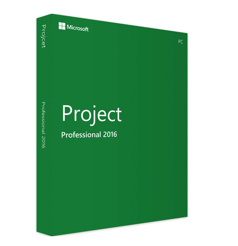 Project 2016 Professional – Projektplanung für Profis & Teams