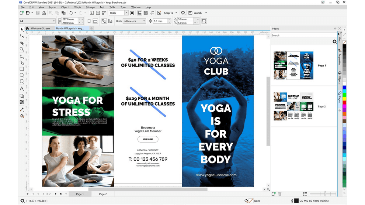 CorelDRAW Standard 2021 | Windows - Grafik