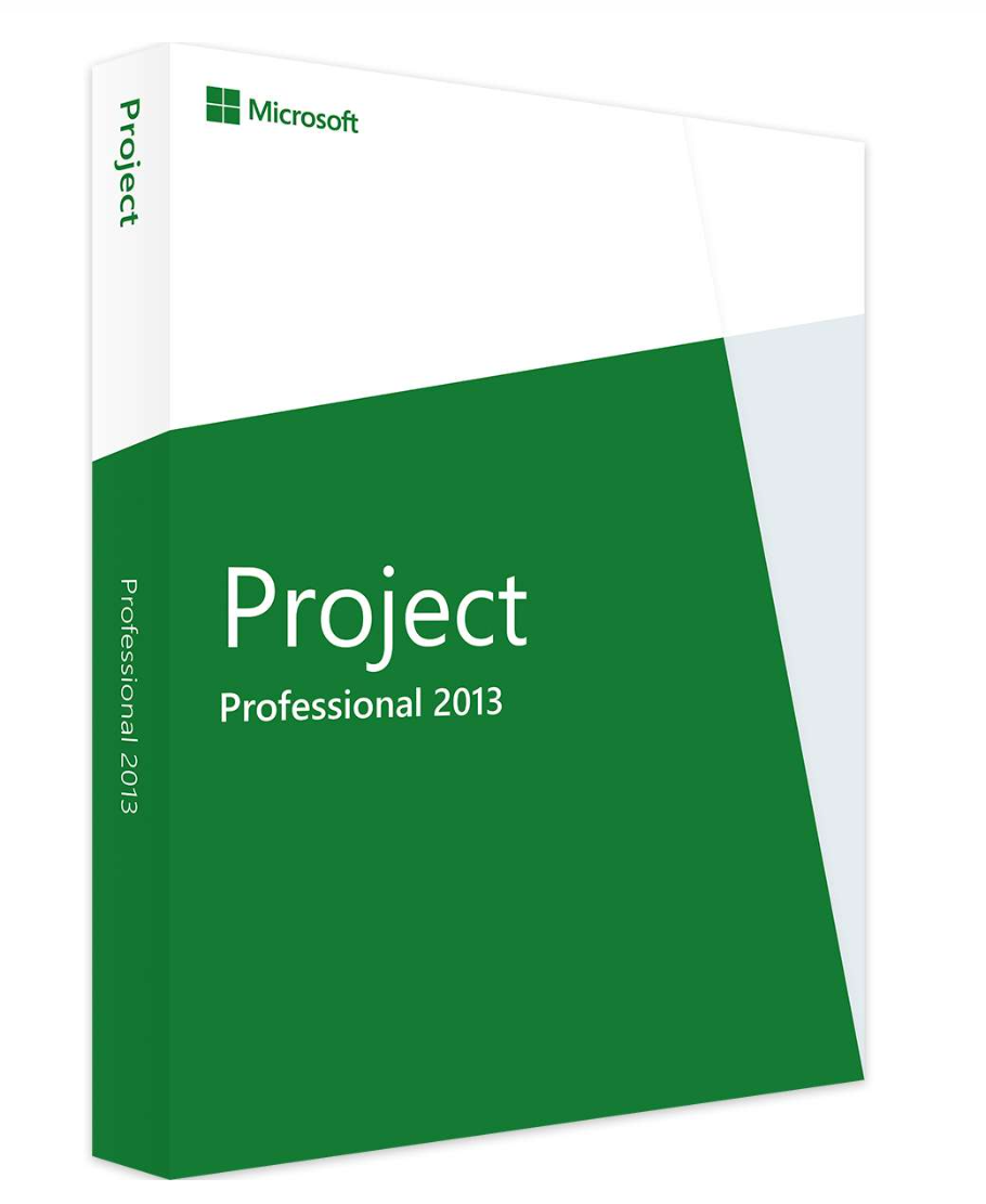 Project 2013 Professional – Projektmanagement für Profis