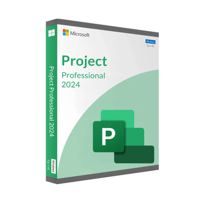 Microsoft Project Professional 2024 