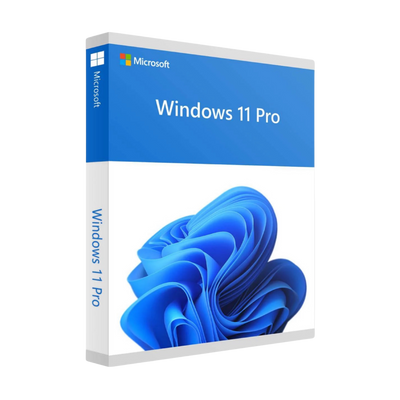 Microsoft Windows 11 Pro